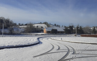 Témoignage de Méline - Scolarité en Irlande irlande high school neige