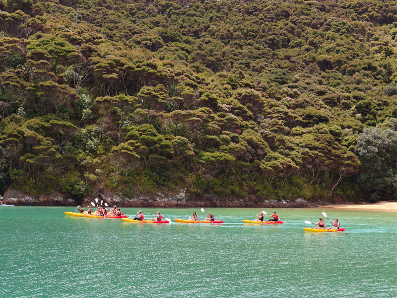 Kerikeri High School - Sortie en canoe Nouvelle Zélande