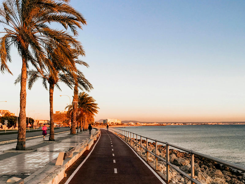 Route en bord de mer avec des palmiers, Espagne
