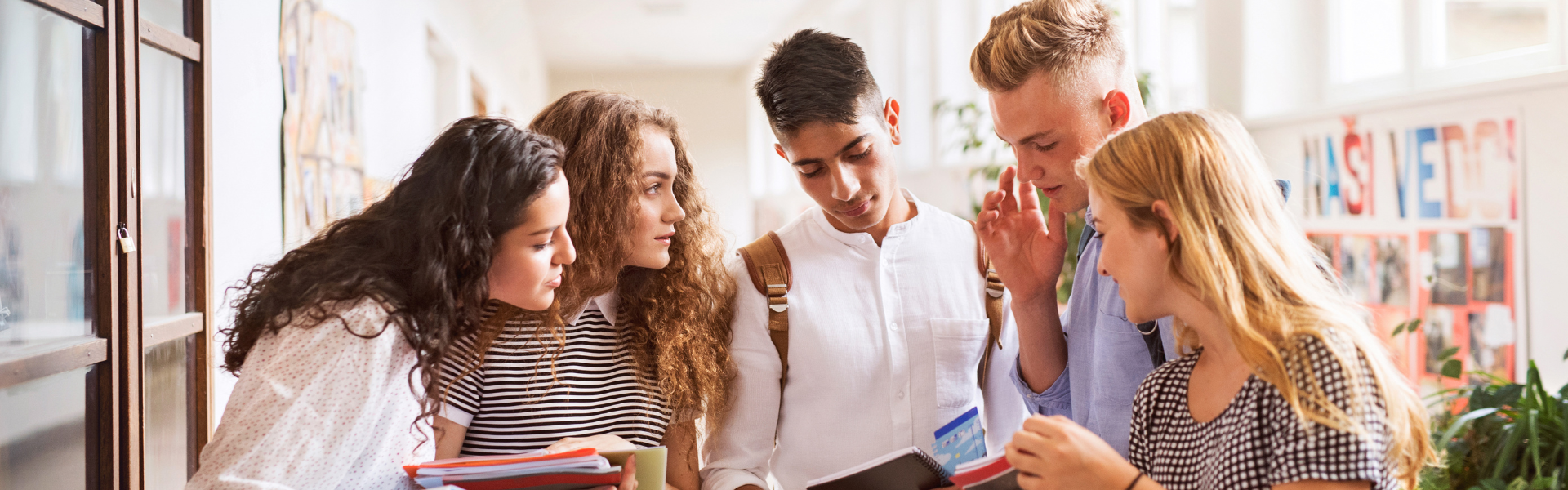 La Transition Year en Irlande : une année qui change tout